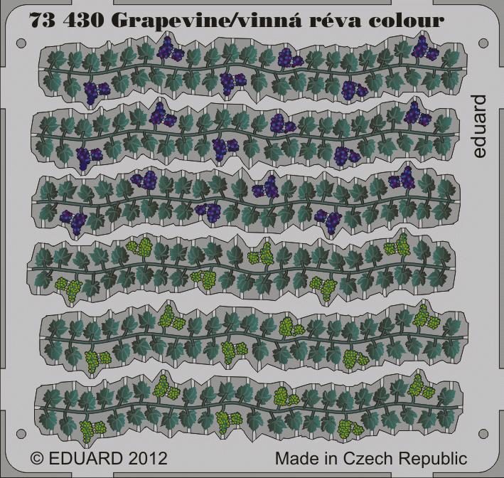 Eduard 73430 Grapevine color 1/72