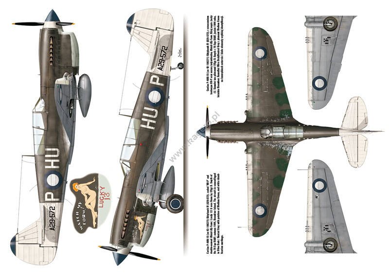 Kagero 3040 Curtiss P-40 vol. II EN – Bild 3